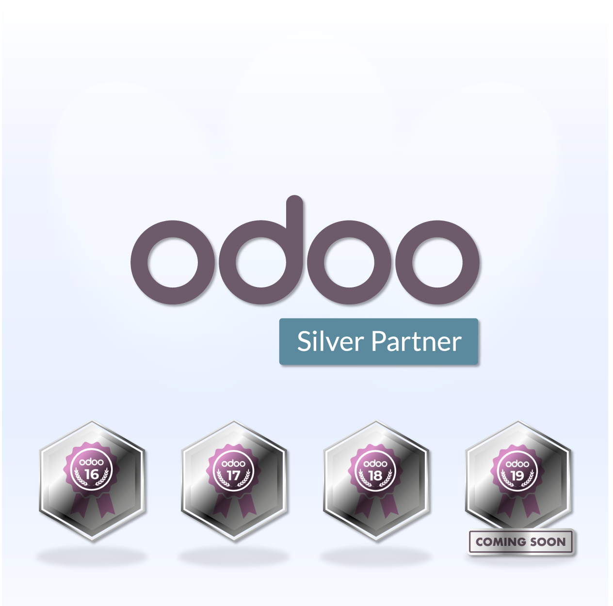 Odoo Silver Partner